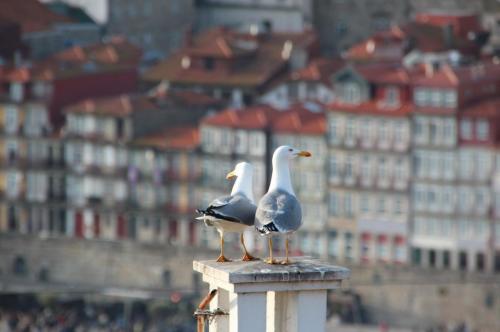 Porto, Portugal